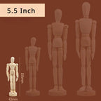 5.5/8/12 inch Artists Wooden Mannequin